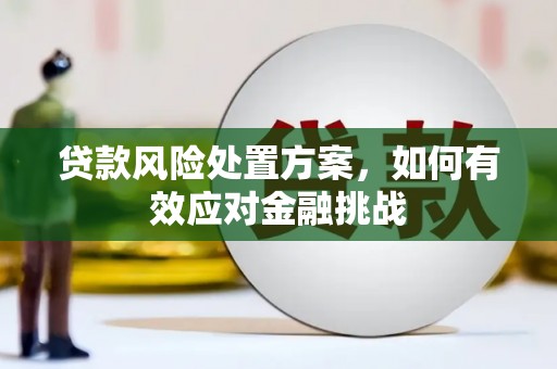 黄南贷款风险处置方案，如何有效应对金融挑战